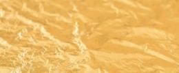 Rosenobel Double Gold extra strong 23.75 Karats